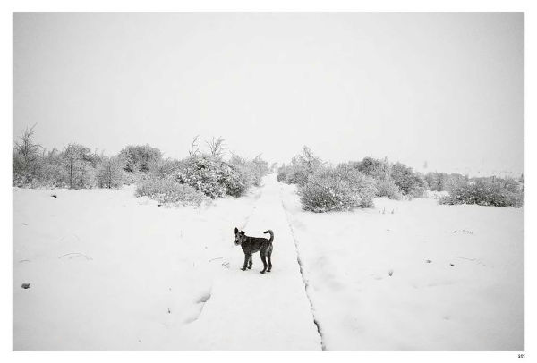Sidelines: John Vink
