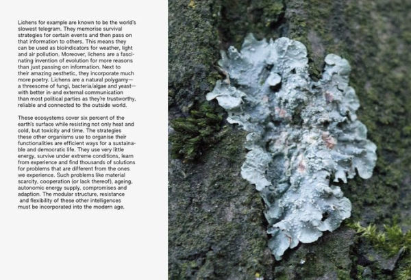 Tales from a Technocratic City: Eindhoven Footnotes