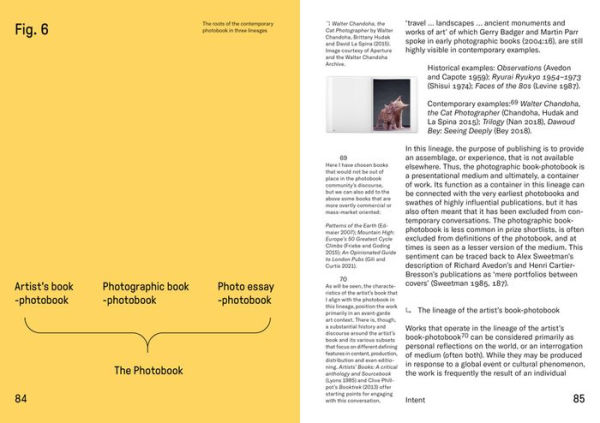Photobooks &: A Critical Companion to the Contemporary Medium