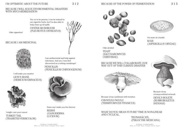 Let's Become Fungal!: Mycelium Teachings and the Arts: Based on Conversations with Indigenous Wisdom Keepers, Artists, Curators, Feminists and Mycologists