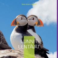 Title: Lunnit Lentävät, Author: Sami Antero Nygrïn