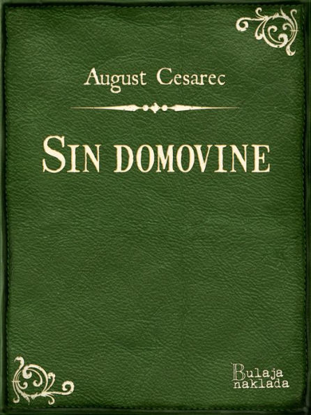 Sin domovine