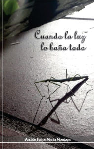 Title: Cuando la luz lo baña todo, Author: Andrés Felipe Marín Montoya