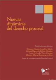 Title: Nuevas dinámicas del derecho procesal, Author: Amy J. Schmitz