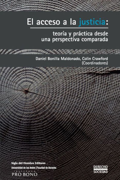 El acceso a la justicia: teoría y práctica desde una perspectiva comparada