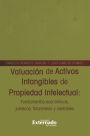 Valuación de Activos Intangibles de Propiedad Intelectual: Fundamentos y Nociones Jurídico Financieras y Contables