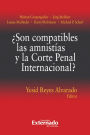 ¿Son compatibles las amnistías y la Corte Penal Internacional?