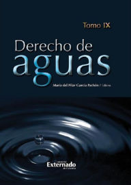 Title: Derecho de Aguas: Tomo IX, Author: Gloria Lucía Álvarez Pinzón