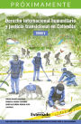 Derecho internacional humanitario tomo V: Serie Conflicto armado y derecho internacional humanitario