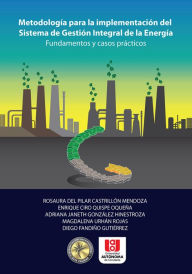 Title: Metodología para la implementación del sistema de gestión integral de la energía: Fundamentos y casos prácticos, Author: Rosaura Pilar Castrillón del Mendoza
