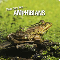 Title: How they live... Amphibians: Learn All There Is to Know About These Animals!, Author: David Withrington