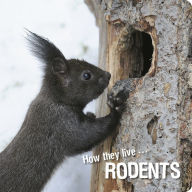 Title: How they live... Rodents: Learn All There Is to Know About These Animals!, Author: David Withrington