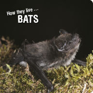 Title: How they live... Bats: Learn All There Is to Know About These Animals!, Author: David Withrington