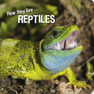 Title: How they live... Reptiles: Learn All There Is to Know About These Animals!, Author: David Withrington