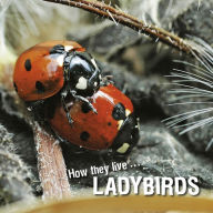 Title: How they live... Ladybirds: Learn All There Is to Know About These Animals!, Author: David Withrington