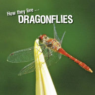 Title: How they live... Dragonflies: Learn All There Is to Know About These Animals!, Author: David Withrington