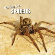 Title: How they live... Spiders: Learn All There Is to Know About These Animals!, Author: David Withrington