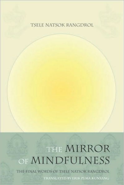 The Mirror of Mindfulness