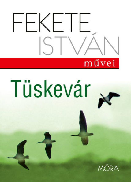 Tüskevár