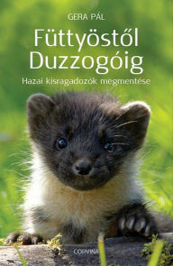 Title: Füttyöstol Duzzogóig, Author: Pál Gera