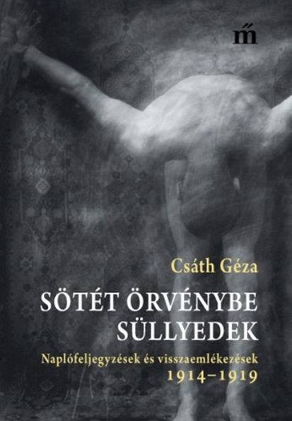 Sötét örvénybe süllyedek: Naplófeljegyzések és visszaemlékezések 1914-1919