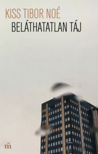 Title: Beláthatatlan táj, Author: Tibor Noé Kiss