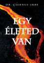 Egy életed van