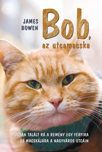 Bob, az utcamacska