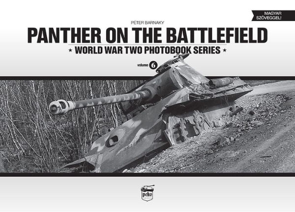 Panther on the Battlefield: Volume 1