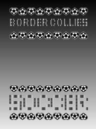 Title: Border Collies, Author: Jade Sharman