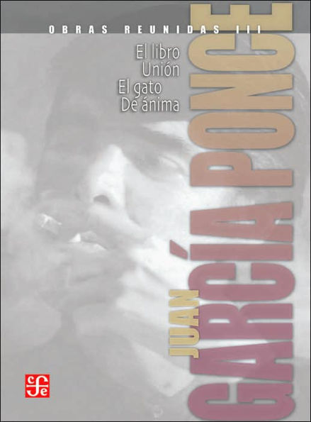 Obras reunidas III. Novelas cortas II