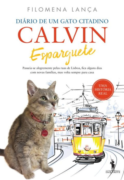 Diário de Um Gato Citadino: Calvin Esparguete