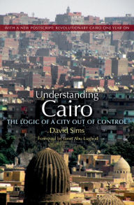 Title: Understanding Cairo: The Logic of a City Out of Control, Author: David Sims