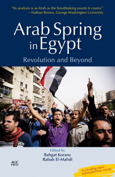 Arab Spring Egypt: Revolution and Beyond