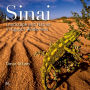 Sinai: Landscape and Nature in Egypt's Wilderness