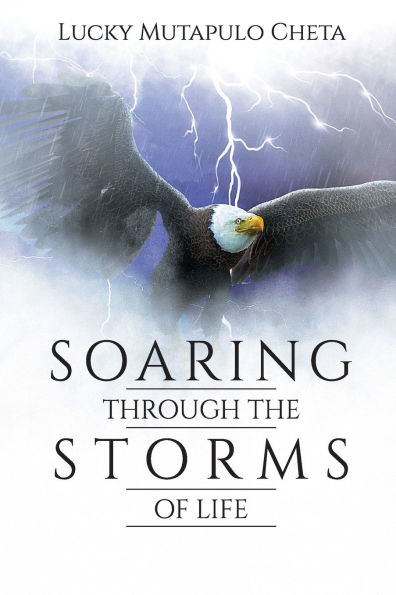 Soaring Through the Storms of Life