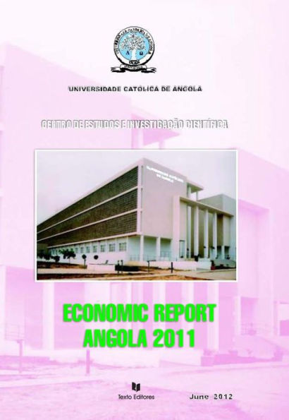 Economic Report of Angola 2011