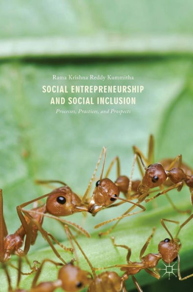 Social Entrepreneurship and Social Inclusion: Processes, Practices, and Prospects
