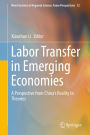 Labor Transfer in Emerging Economies: A Perspective from China's Reality to Theories