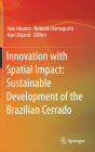 Innovation with Spatial Impact: Sustainable Development of the Brazilian Cerrado