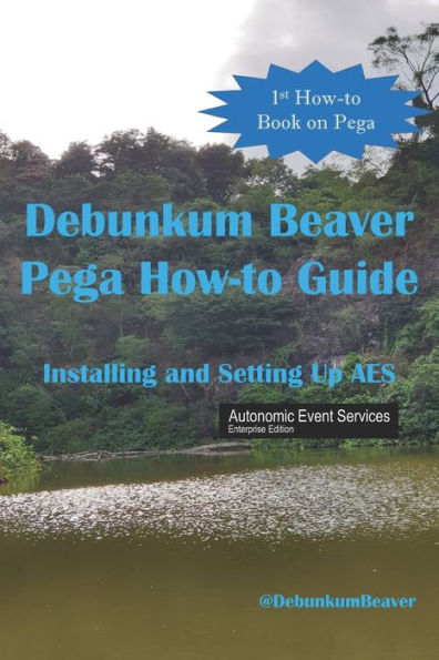 Debunkum Beaver How-to Guide: Installing and Testing AES