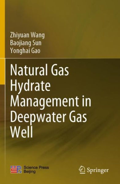 Natural Gas Hydrate Management Deepwater Well