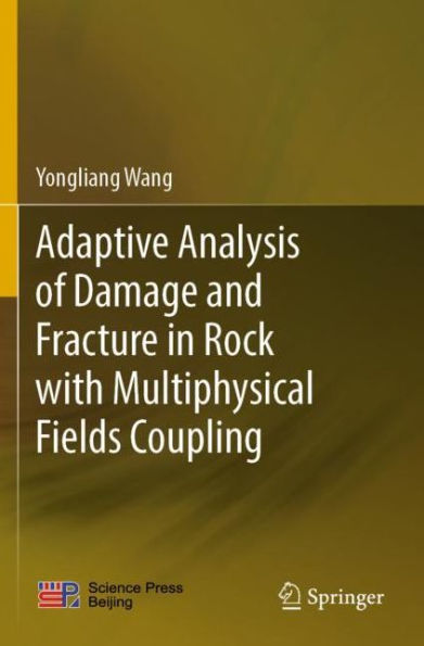 Adaptive Analysis of Damage and Fracture Rock with Multiphysical Fields Coupling