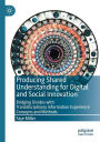 Producing Shared Understanding for Digital and Social Innovation: Bridging Divides with Transdisciplinary Information Experience Concepts and Methods
