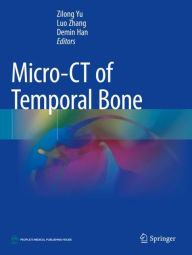 Title: Micro-CT of Temporal Bone, Author: Zilong Yu