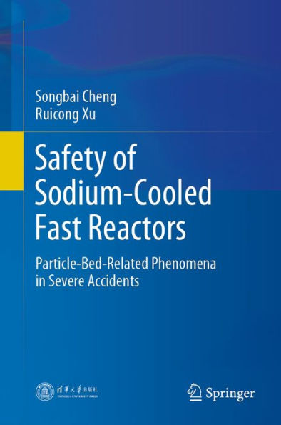 Safety of Sodium-Cooled Fast Reactors: Particle-Bed-Related Phenomena in Severe Accidents