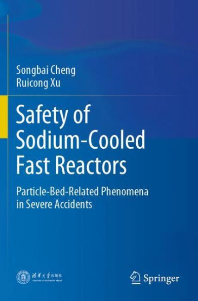 Safety of Sodium-Cooled Fast Reactors: Particle-Bed-Related Phenomena Severe Accidents