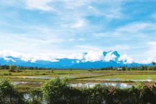 Alternative view 7 of Tamu: A Guest at the Bornean Table