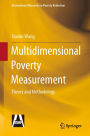 Multidimensional Poverty Measurement: Theory and Methodology
