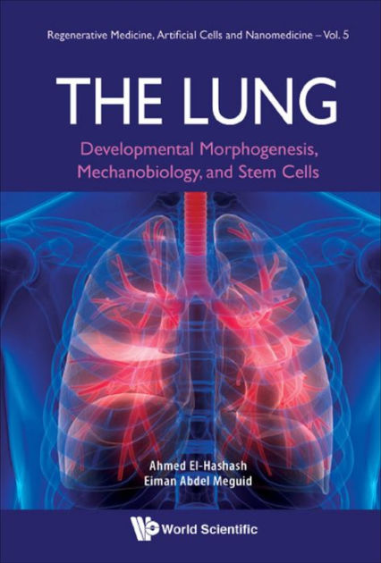 Lung, The: Developmental Morphogenesis, Mechanobiology, And Stem Cells ...